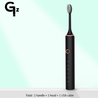 New 2023 N100 Sonic Electric Toothbrush Adult Timer Brush 6 Mode USB Charger Rechargeable Tooth Brushes Replacement Heads Set