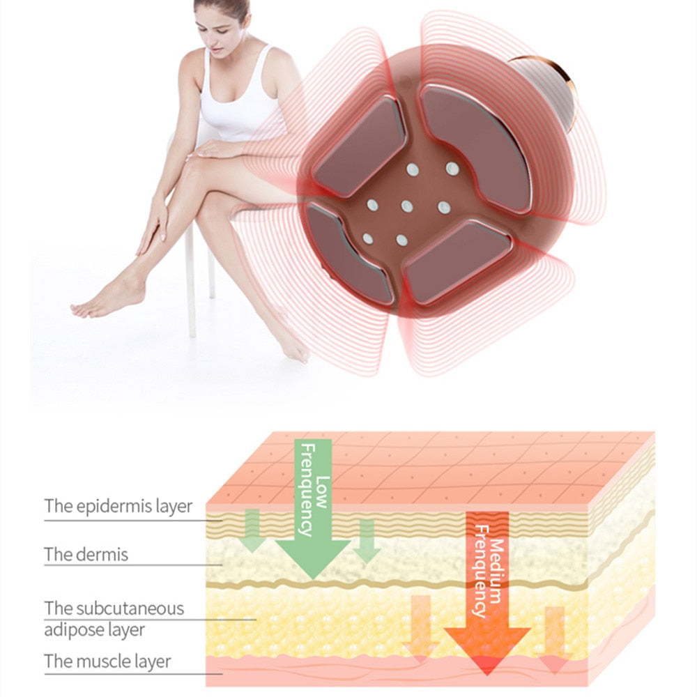 epidermis layer L 8 The dermis The subcutaneous