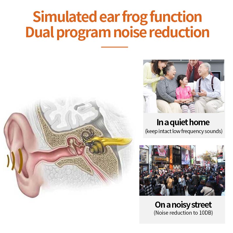 Simulated ear frogfunction Dual program noisereduction