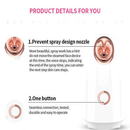 Steaming Face Hot Steamer Facial hydration Humidifier Skin moisturizing Water Replenishing Instrument Nano Mist Spray Facial