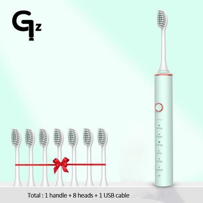 New 2023 N100 Sonic Electric Toothbrush Adult Timer Brush 6 Mode USB Charger Rechargeable Tooth Brushes Replacement Heads Set