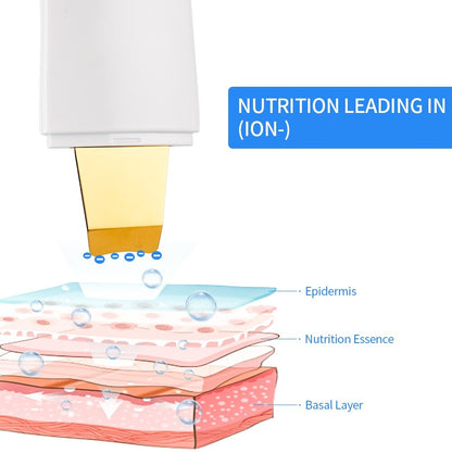 NUTRITION LEADING IN (ION-) Epiderm