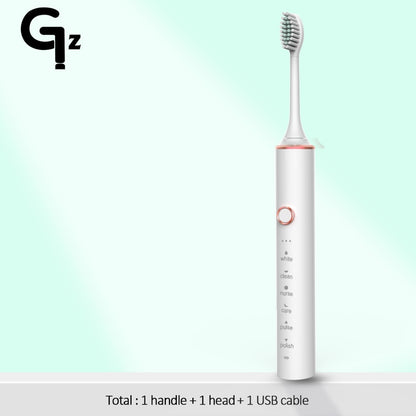 New 2023 N100 Sonic Electric Toothbrush Adult Timer Brush 6 Mode USB Charger Rechargeable Tooth Brushes Replacement Heads Set