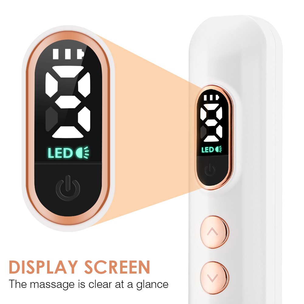 LED(2 LEDe DISPLAY SCREEN) The