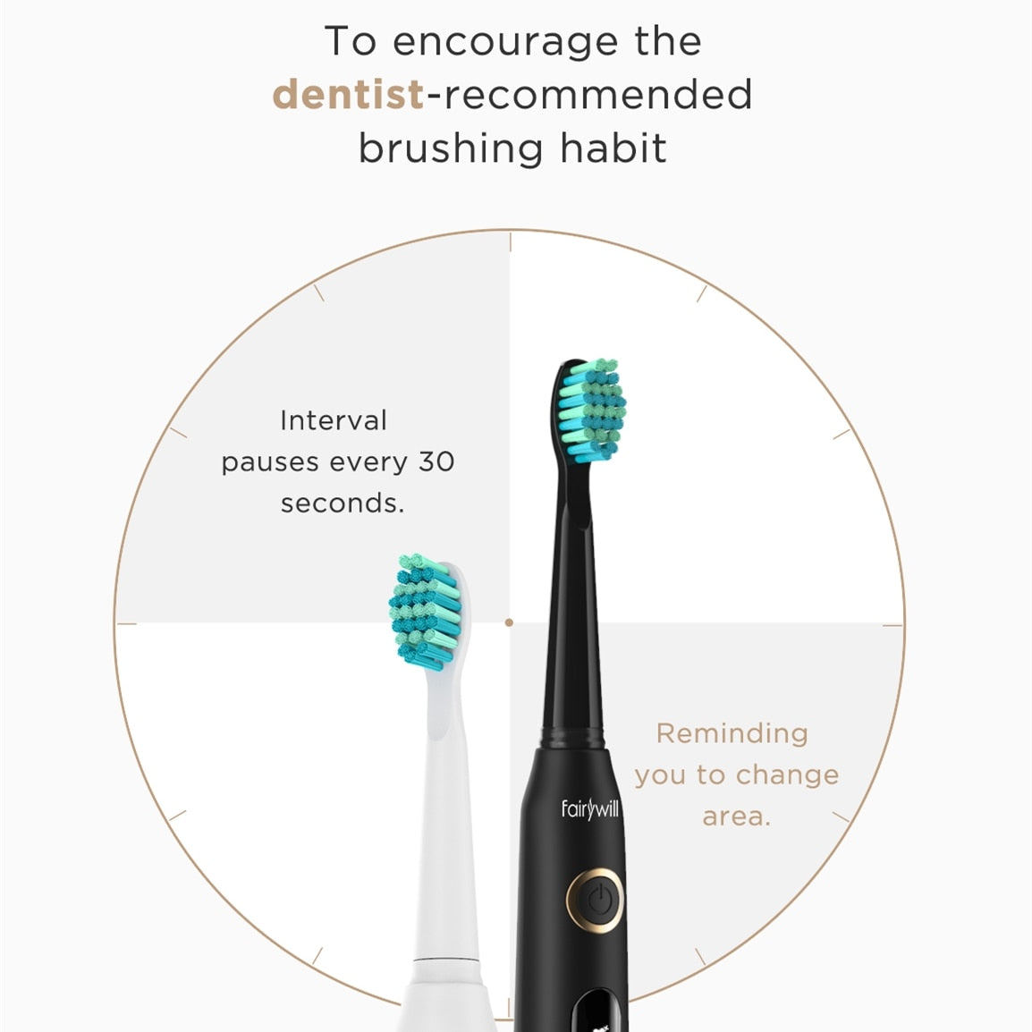 to encourage the dentist-recommended brushing habit Interval pause