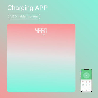 Charging APP (LED hidden screen 4860 75