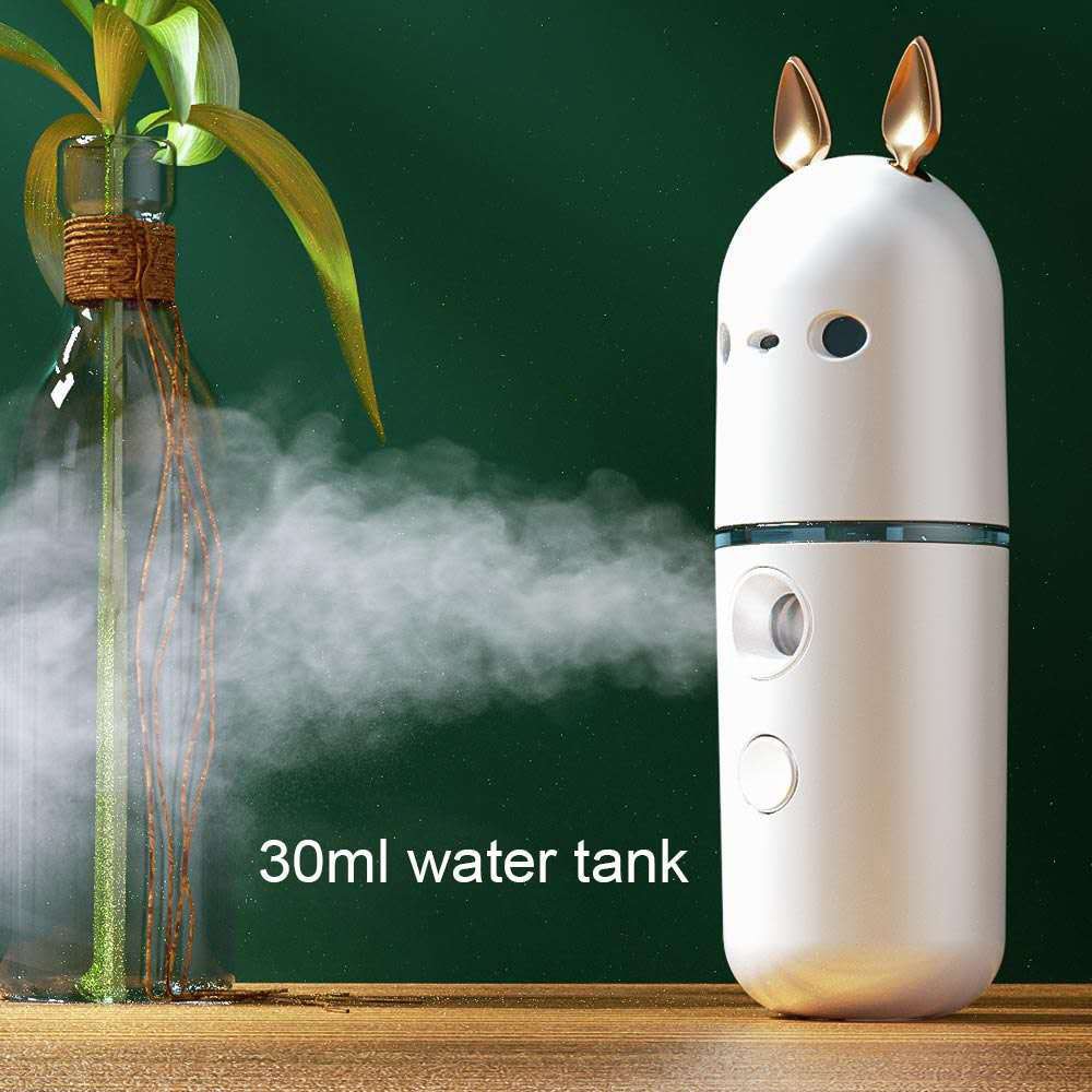 Nano Facial Sprayer Mini USB Rechargeable Humidifier Face Steamer Nebulizer Moisturizing Beauty Instruments Skin Care Tool