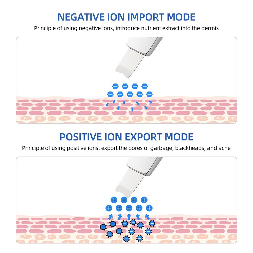 nutrient extract is injected into the dermis .