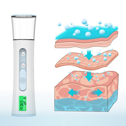 Double Spray-head Nano Mist Sprayer Mini Hydrating Humidifier Skin Care LED Display Portable Facial Steamer Handheld Nebulizer