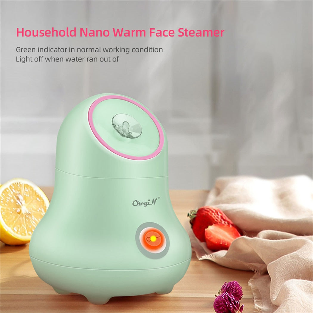 ChcyiNa Warm Face Steamer Green indicator in normal