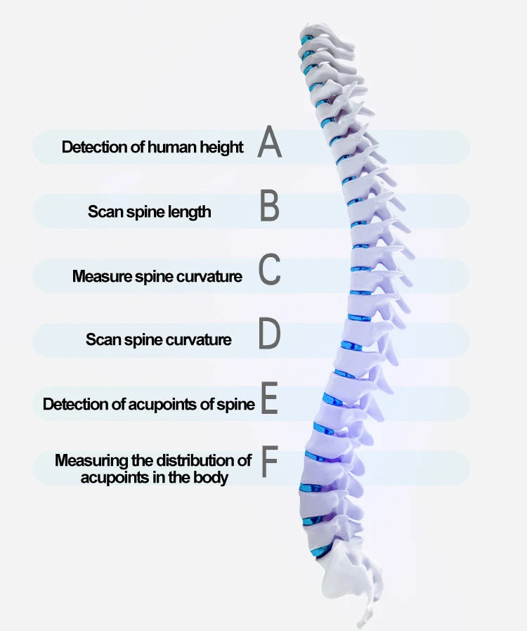 Assess spinal health by measuring human height, spine length, curvature, and acupoint distribution.