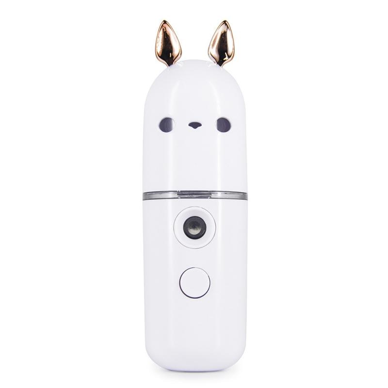 Nano Facial Sprayer Mini USB Rechargeable Humidifier Face Steamer Nebulizer Moisturizing Beauty Instruments Skin Care Tool