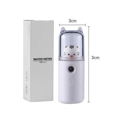 Nano Mist Facial Sprayer Beauty Instrument USB Humidifier Rechargeable Nebulizer Face Steamer Hidratante Beauty Facial Steamer