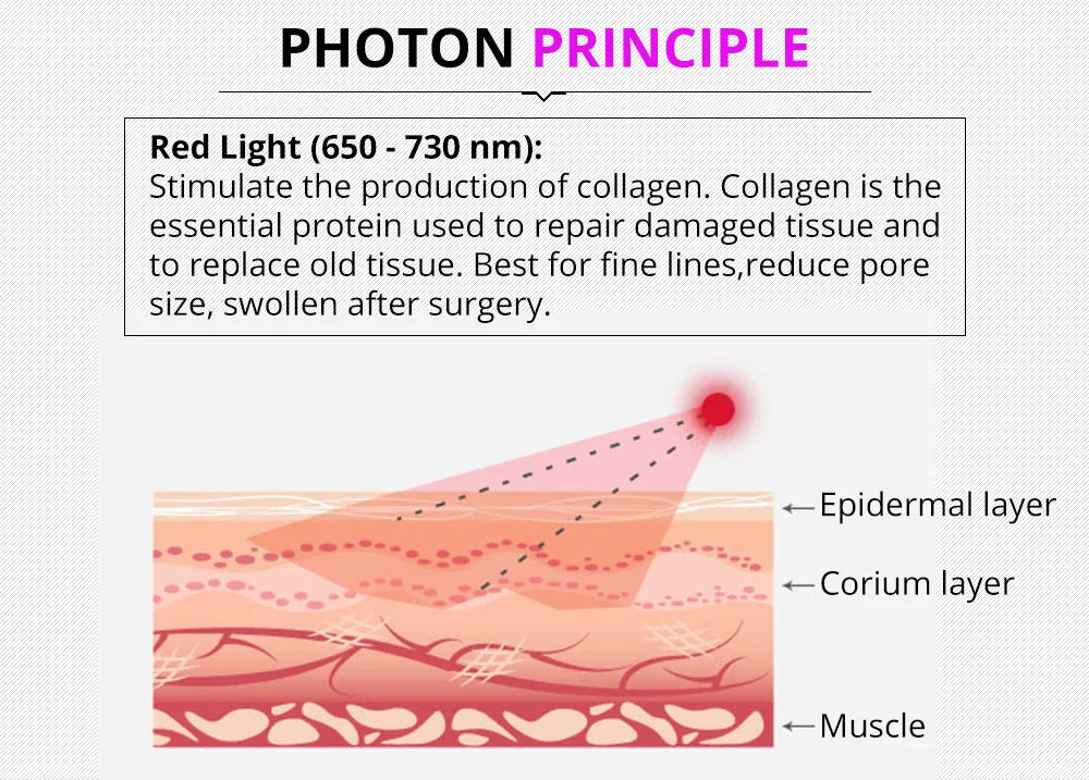 Red light therapy stimulates collagen production, repairing tissues and reducing fine lines, pores, and post-surgery swelling.