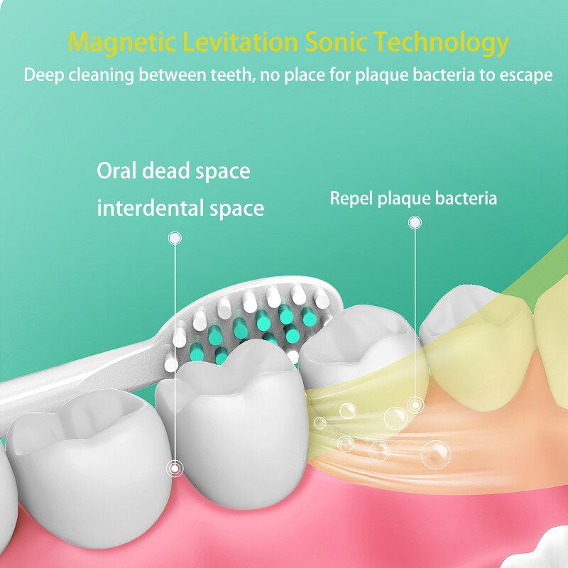 Magnetic Levitation Sonic Technology Deep cleaning between teeth; no place for plaque