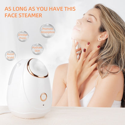 FACE STEAMER Promote Absorption Dredge Pores